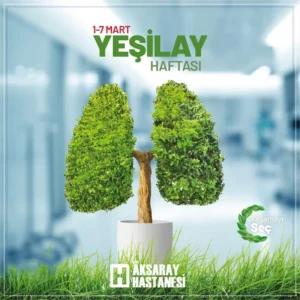 155559917_1831196917057351_6018860961940042540_n-1024x1024